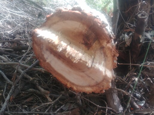 The file that is attached to this post.