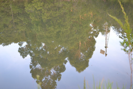 The file that is attached to this post.