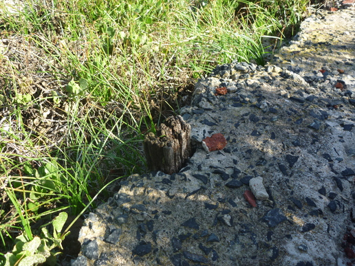 Image of the file attached to this post.