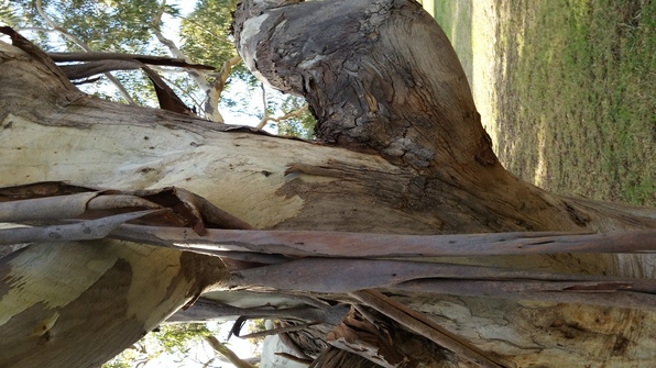 The file that is attached to this post.