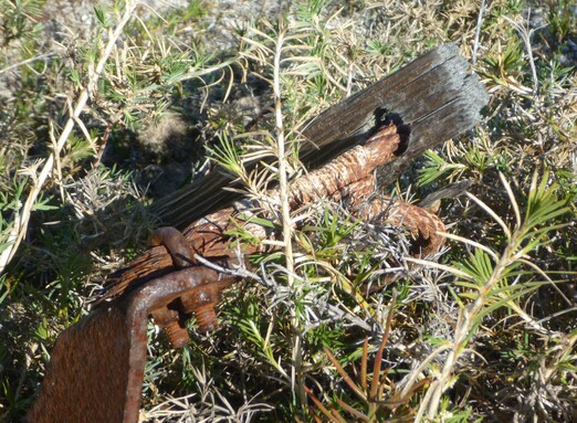Image of the file attached to this post.