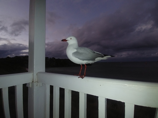 The file that is attached to this post.