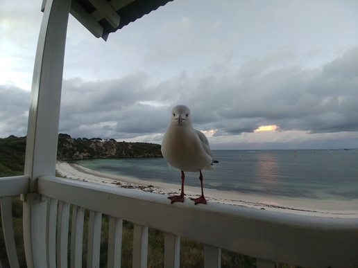 The file that is attached to this post.