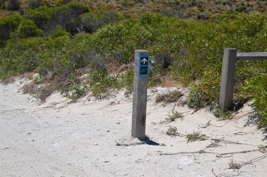 The file that is attached to this post.