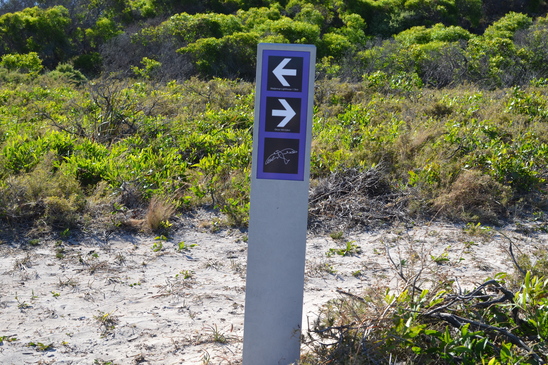 The file that is attached to this post.