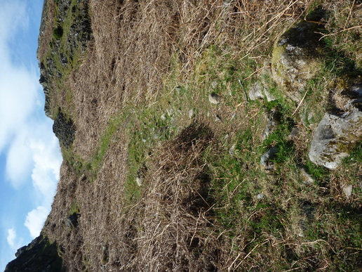 Image of the file attached to this post.