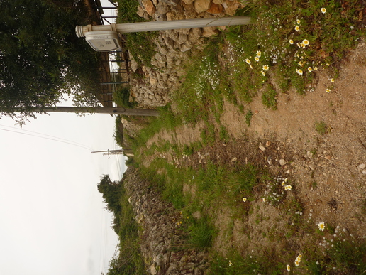 Image of the file attached to this post.