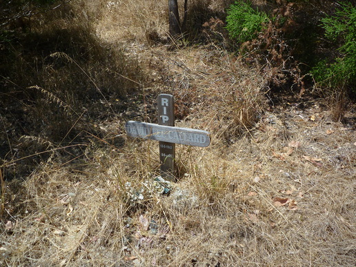 The file that is attached to this post.
