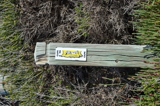 Image of the file attached to this post.